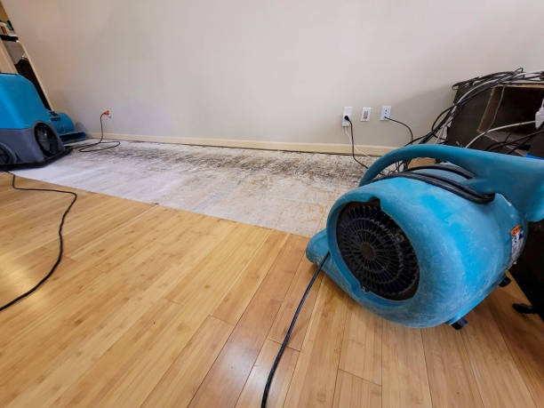 Professional Water Damage Repair technician working in Chillicothe, MO